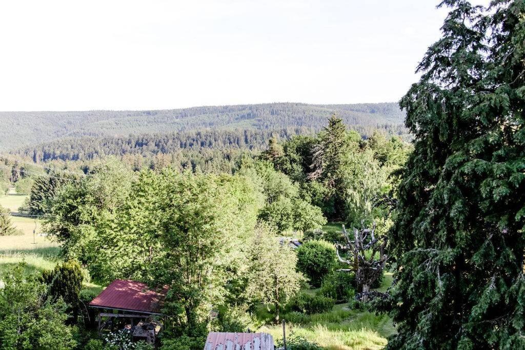 4-Zimmer-Ferienwohnung Bienenstock Dobel Exterior foto