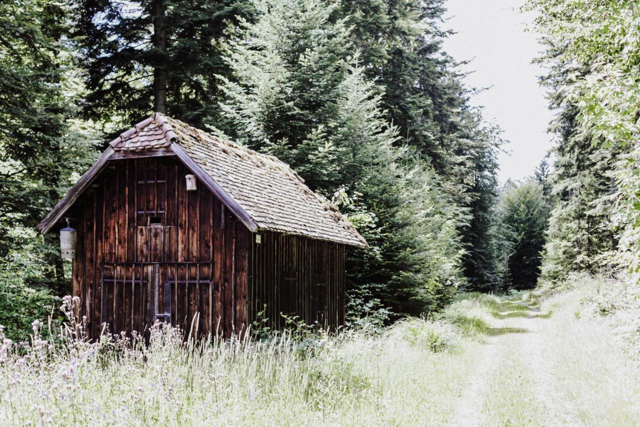 4-Zimmer-Ferienwohnung Bienenstock Dobel Exterior foto